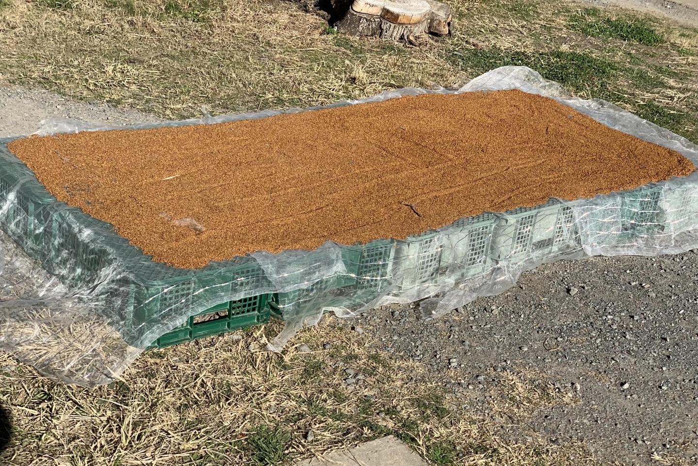 9f1ded2554944557eea4f94334c670c8e5b2ee1e8d206bc99c8287a7dbb72706