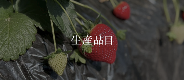 生産品目 | どらちゃん農園