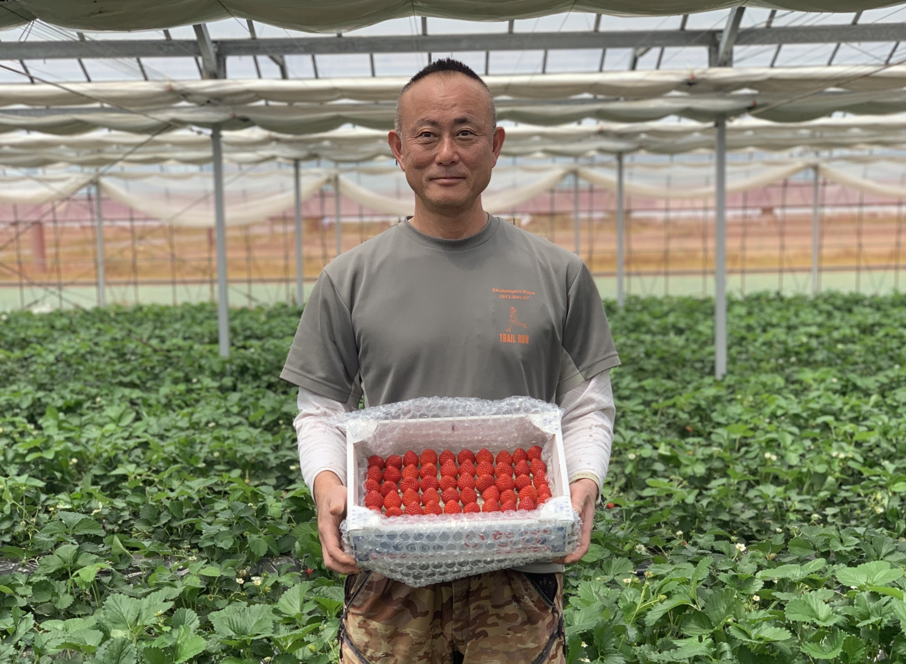 自分_ハウス内5